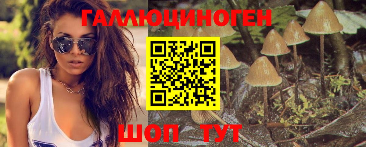 Галлюциногенные грибы Psilocybine cubensis Муравленко